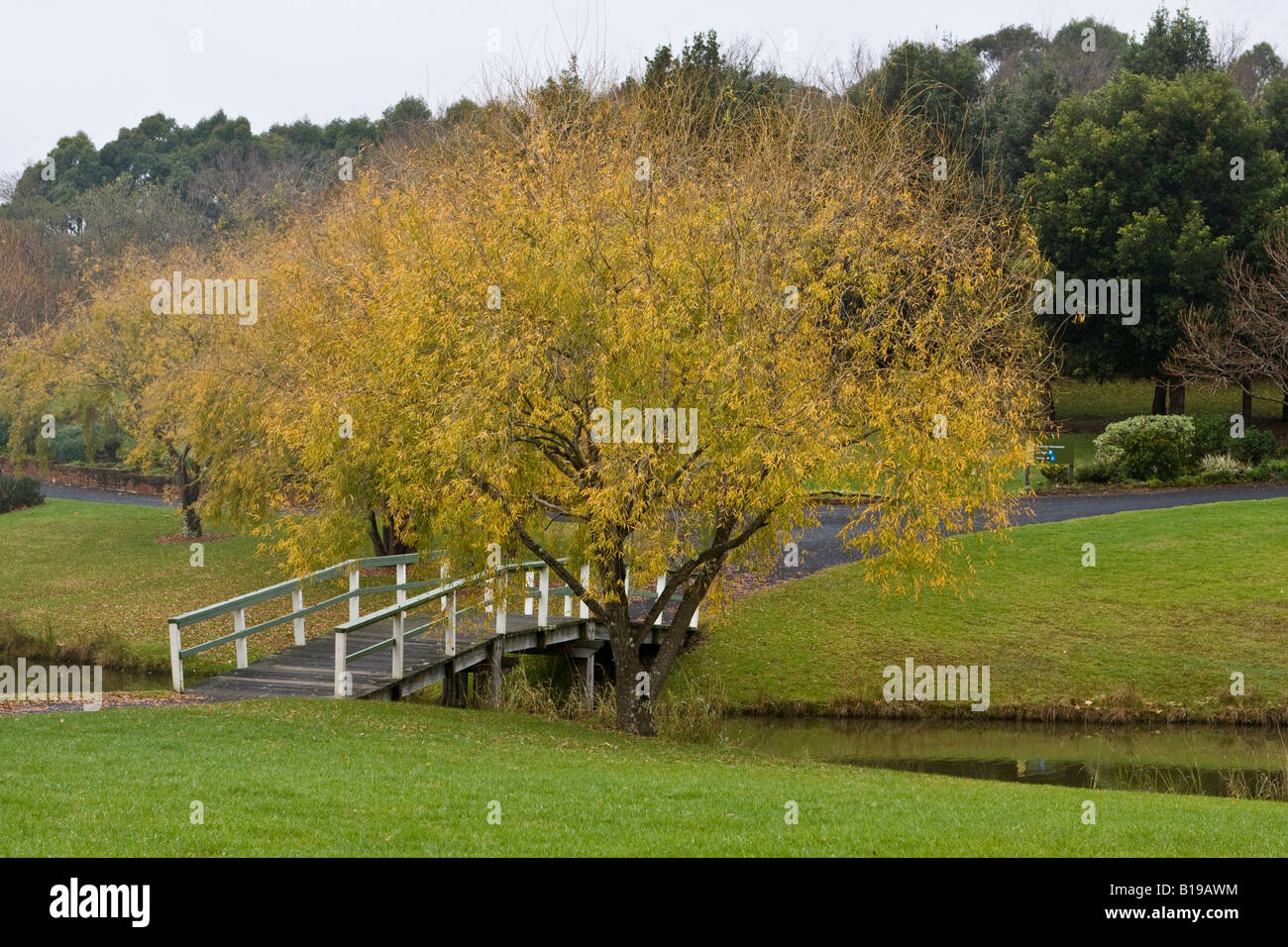 Shade tree hi-res stock photography and images - Alamy
