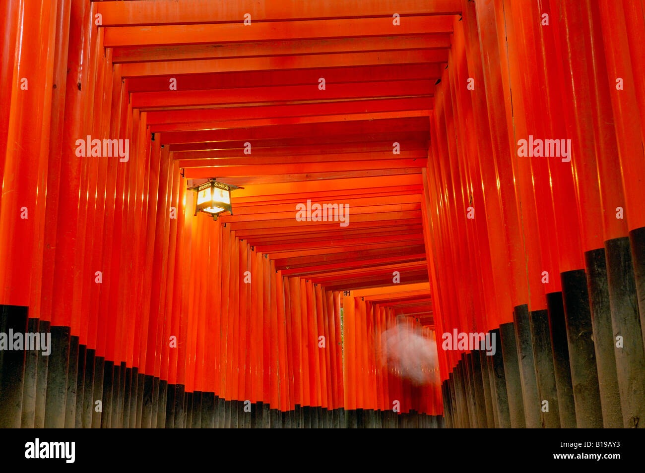 Torii gates Fushimi Inari Taisha Shrine Kyoto Honshu Japan Stock Photo ...