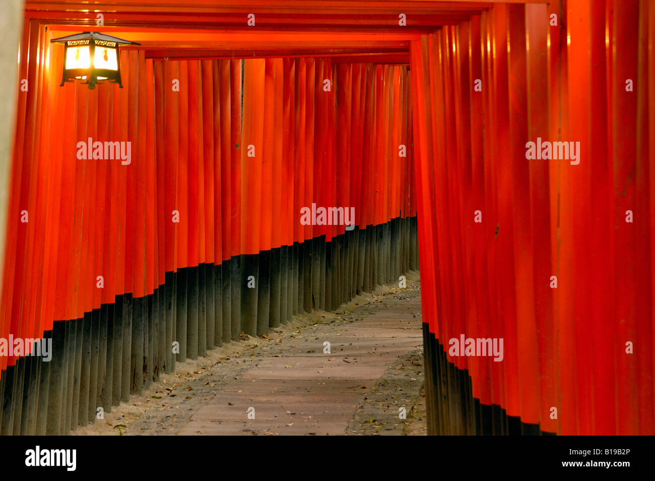 Torii gates Fushimi Inari Taisha Shrine Kyoto Honshu Japan Stock Photo ...