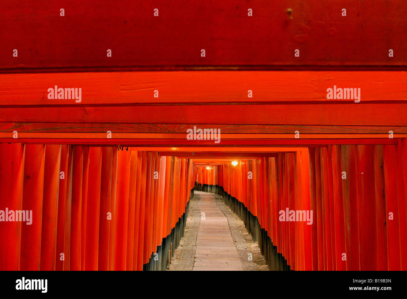 Torii gates Fushimi Inari Taisha Shrine Kyoto Honshu Japan Stock Photo ...