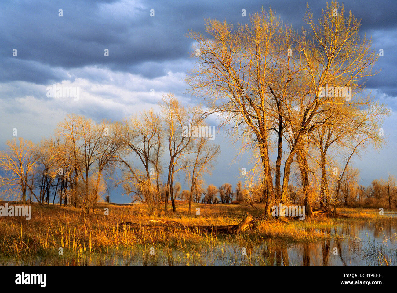 A spring storm sweeps towards the Sheyenne National Grasslands, North