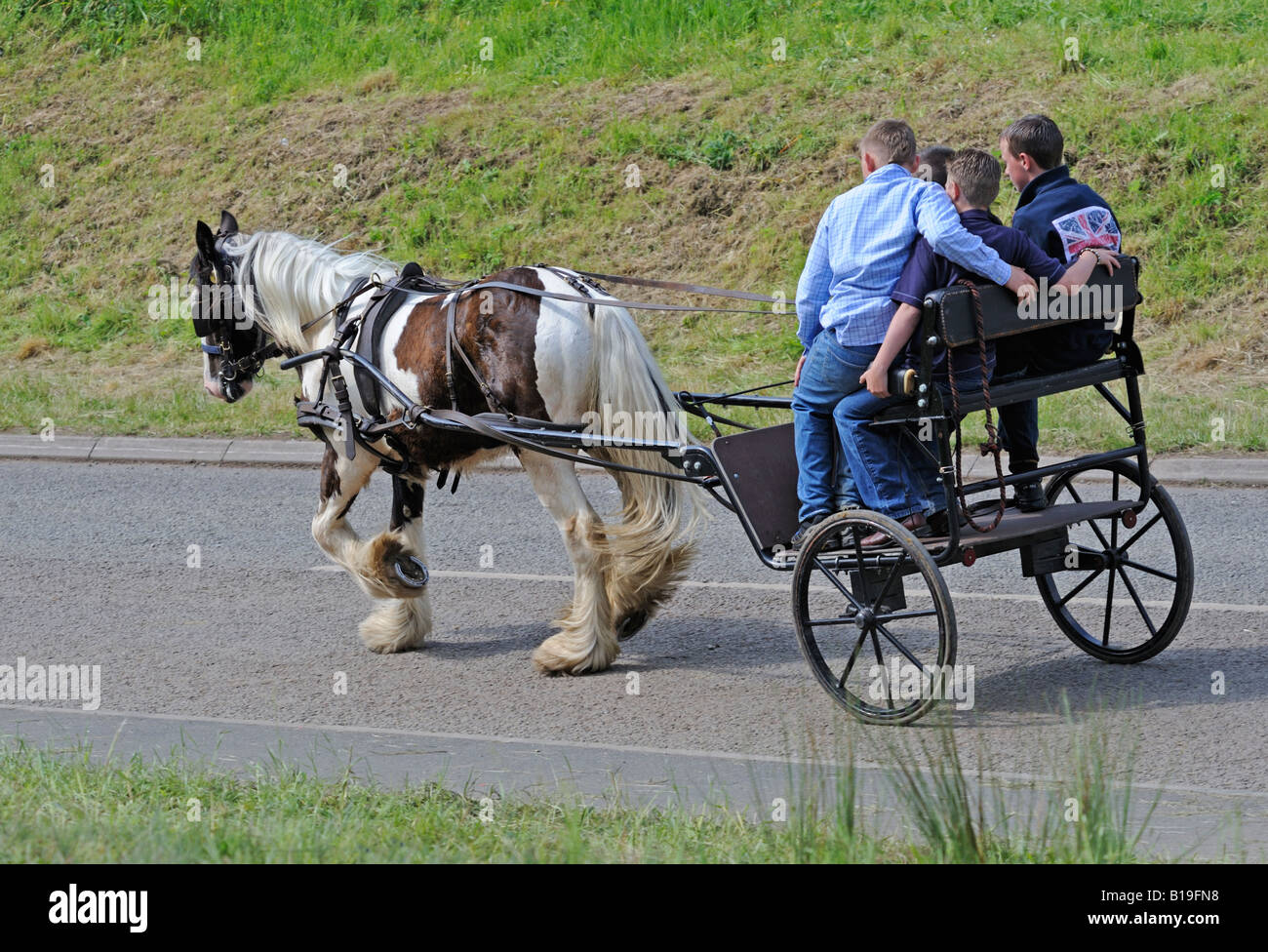 Four gypsy traveller boys driving horse and trap. Appleby Horse Fair. Appleby-in-Westmorland, Cumbria, England, United Kingdom. Stock Photo