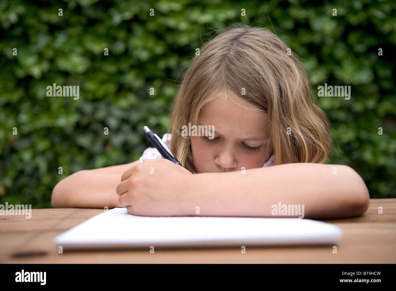 about pride essay butterfly circus