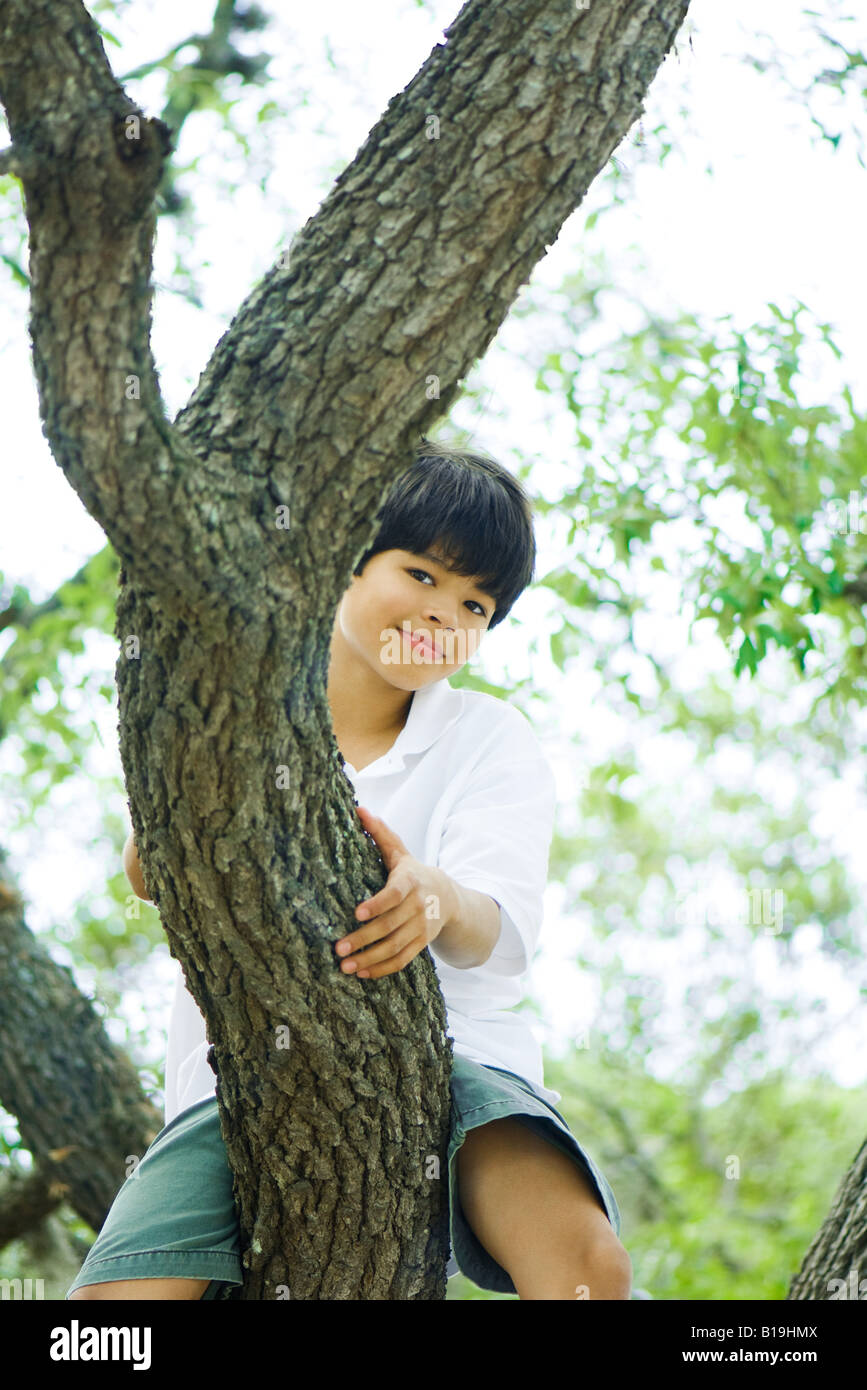 Boy sitting in tree, smiling at camera Stock Photo - Alamy