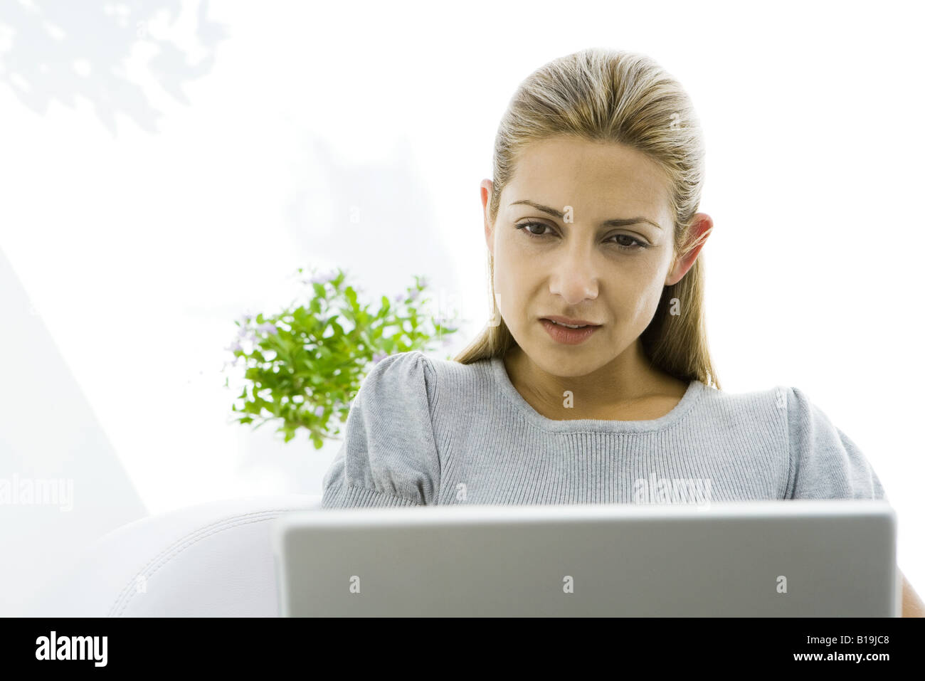 Woman intently looking at laptop, cropped Stock Photo - Alamy