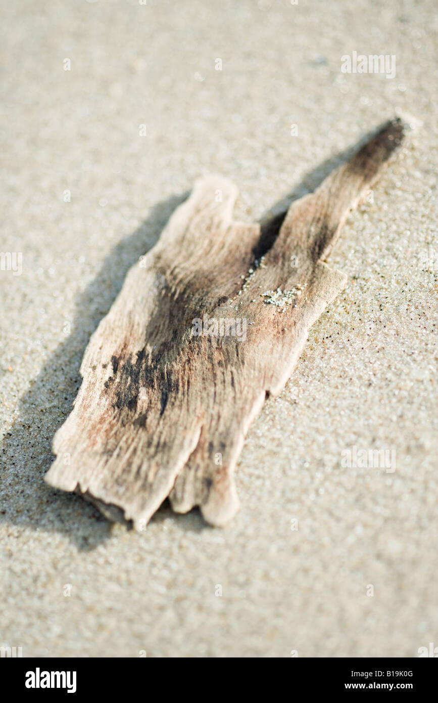 Driftwood, close-up Stock Photo