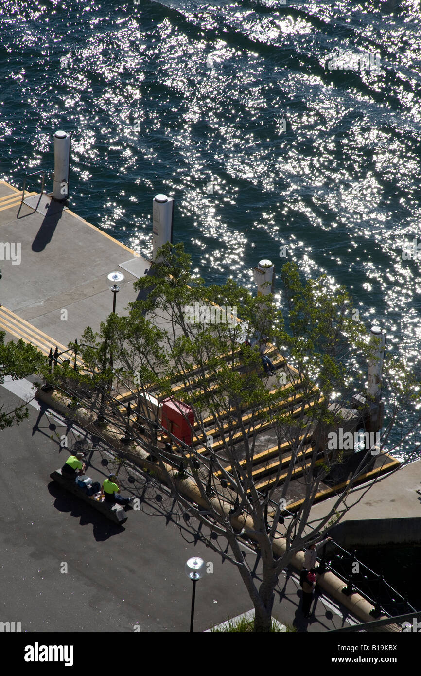 Two workers have lunch on a bench under a tree looking out onto Sydney Harbour Stock Photo