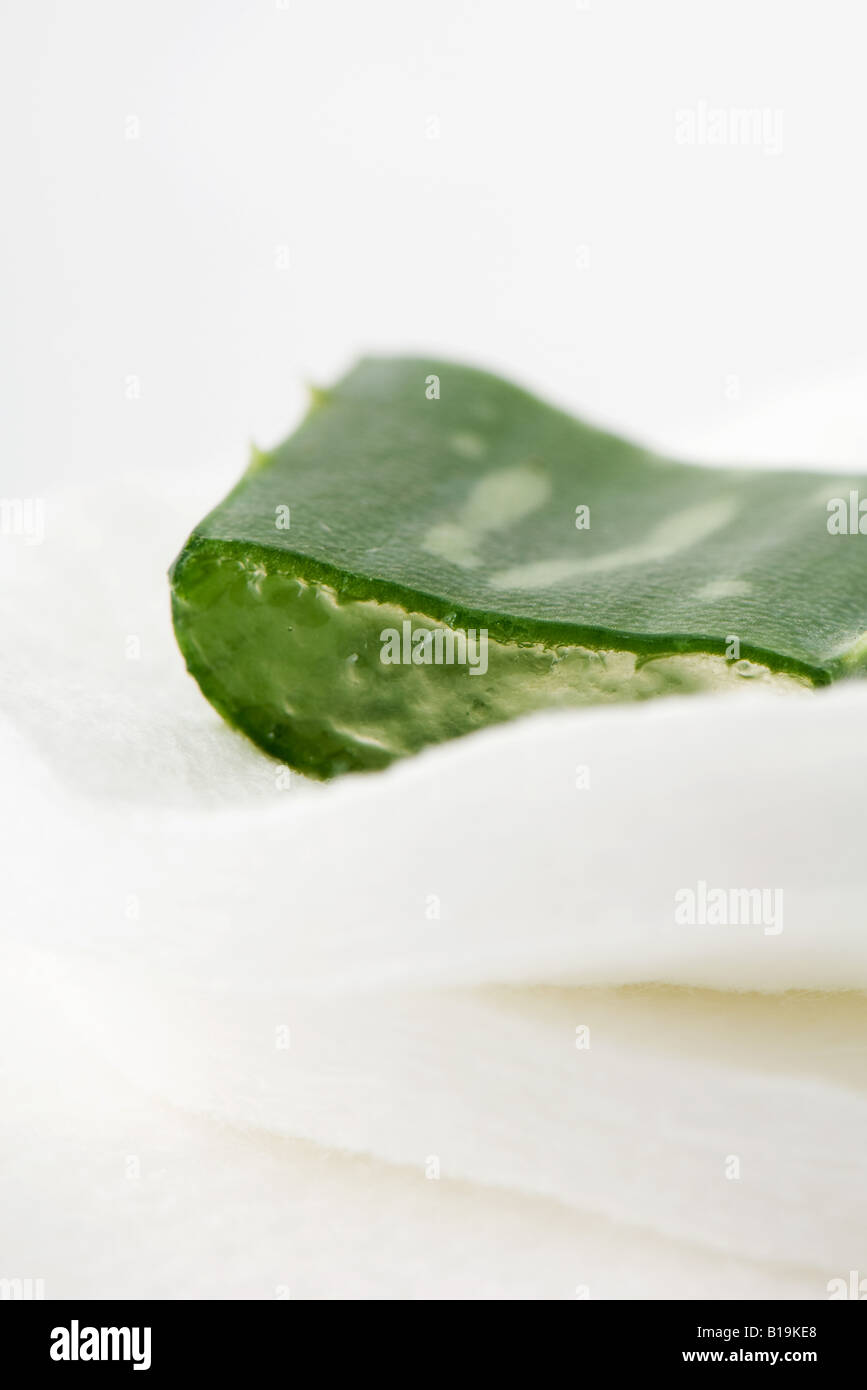 Slice of aloe vera leaf on cotton cosmetic pad, close-up Stock Photo