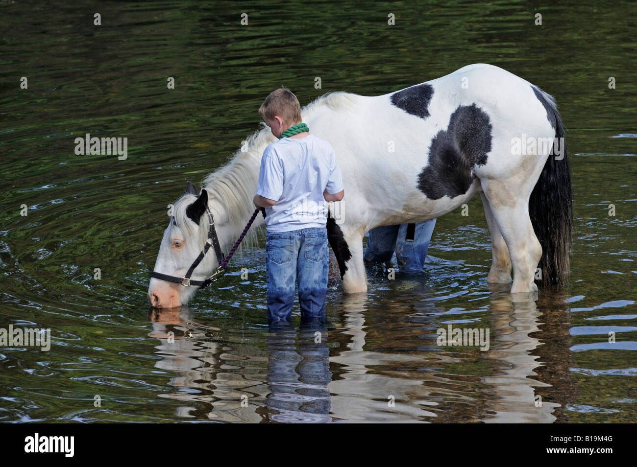 Gypsy traveller boys with coloured cob in River Eden. Appleby Horse Fair. Appleby-in-Westmorland, Cumbria, England. Stock Photo