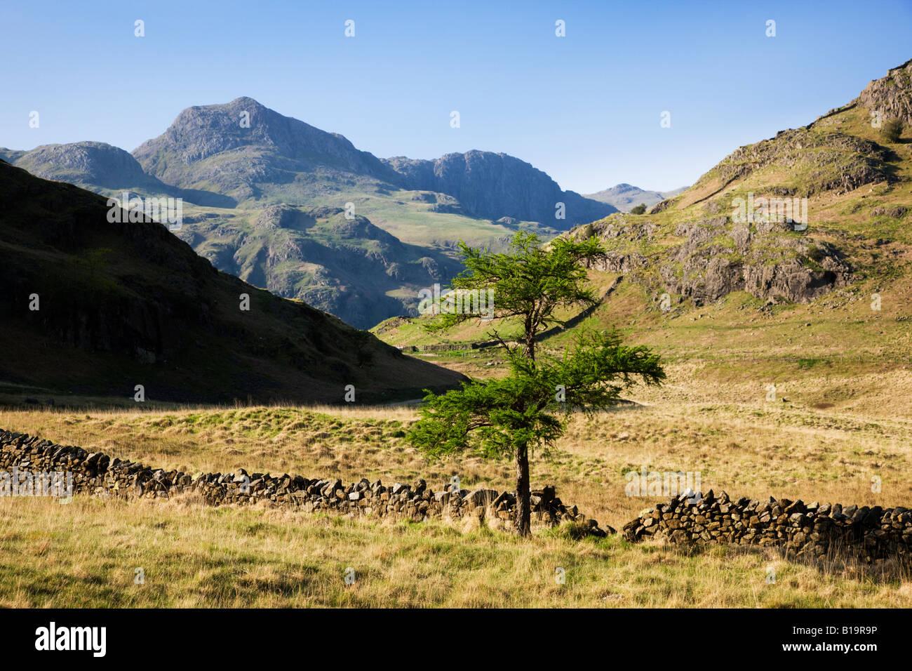 The 'Langdale Pikes' Seen In The Distance As Viewed From Blea Tarn, The 'Lake District' Cumbria England UK Stock Photo