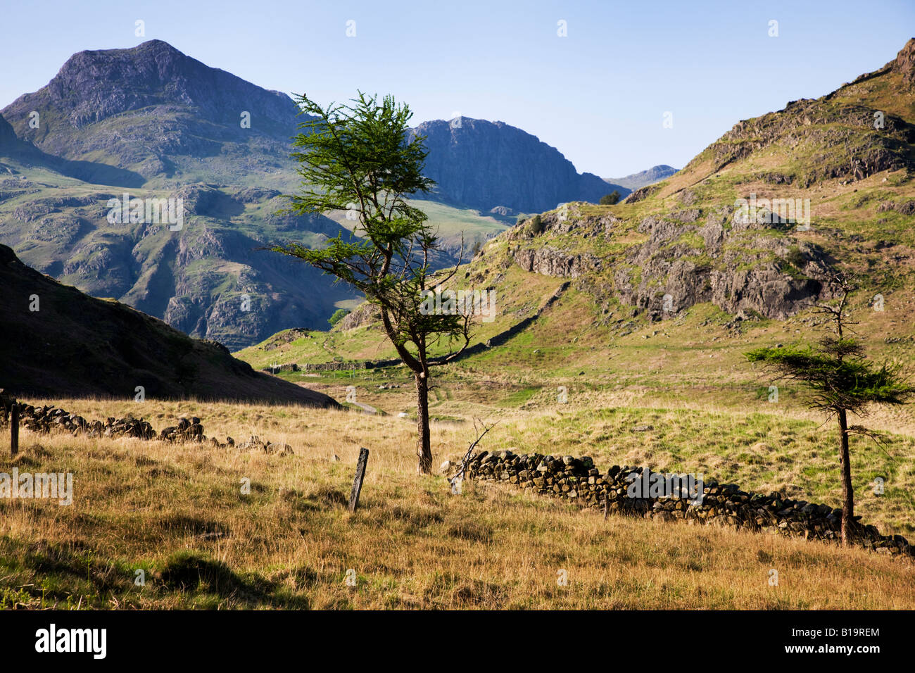 The 'Langdale Pikes' Seen In The Distance As Viewed From Blea Tarn, The 'Lake District' Cumbria England UK Stock Photo