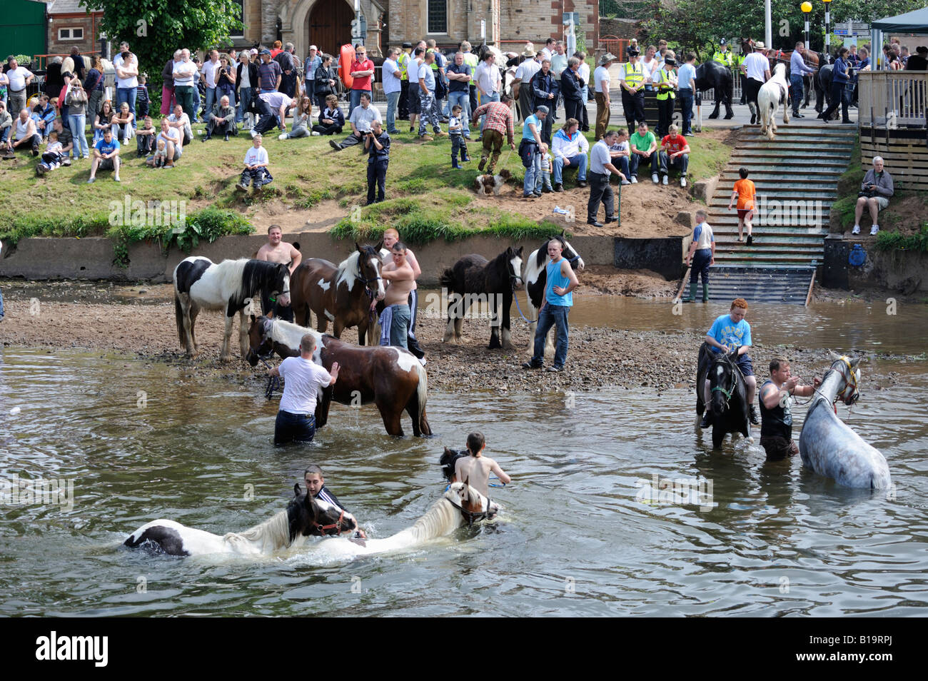 Gypsy travellers washing horses in River Eden. Appleby Horse Fair. Appleby-in-Westmorland, Cumbria, England, United Kingdom. Stock Photo
