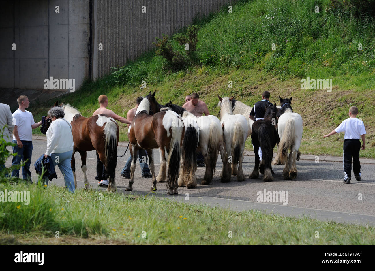 Gypsy travellers with horses. Appleby Horse Fair. Appleby-in-Westmorland, Cumbria, England, United Kingdom, Europe. Stock Photo