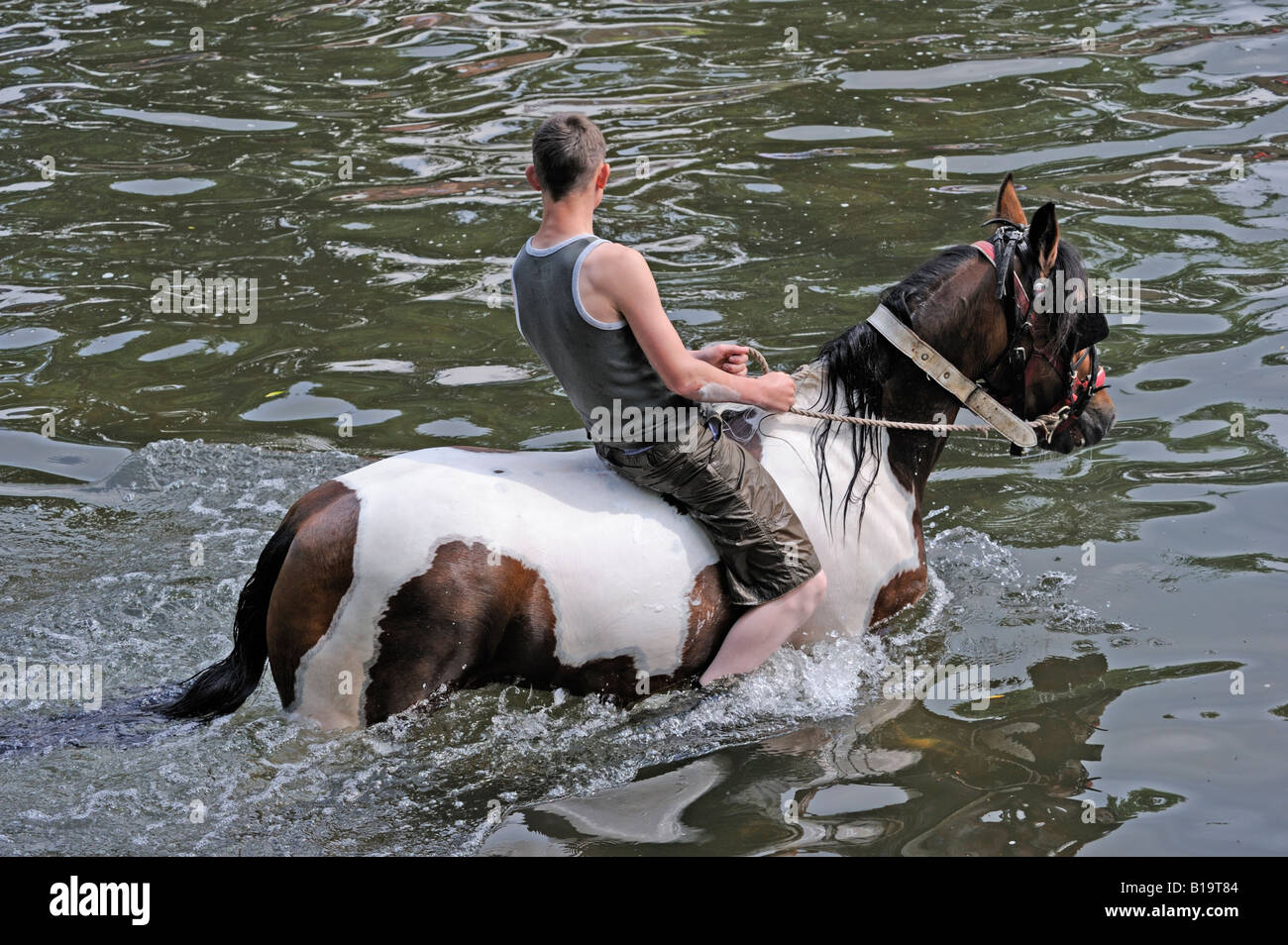Gypsy traveller riding horse in River Eden. Appleby Horse Fair. Appleby-in-Westmorland, Cumbria, England, United Kingdom, Europe Stock Photo