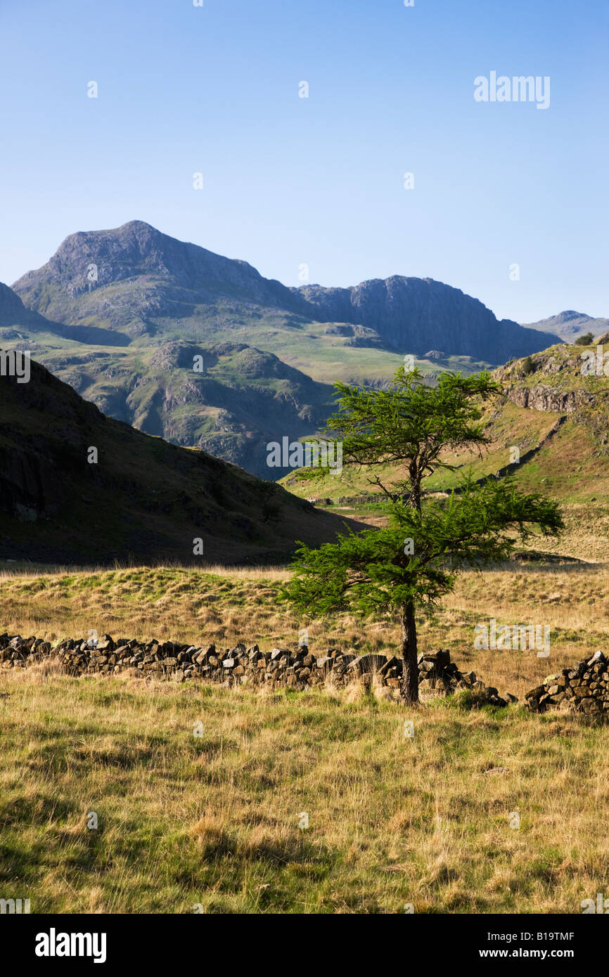 The 'Langdale Pikes' Seen In The Distance As Viewed From Blea Tarn, The 'Lake District' Cumbria England UK Stock Photo