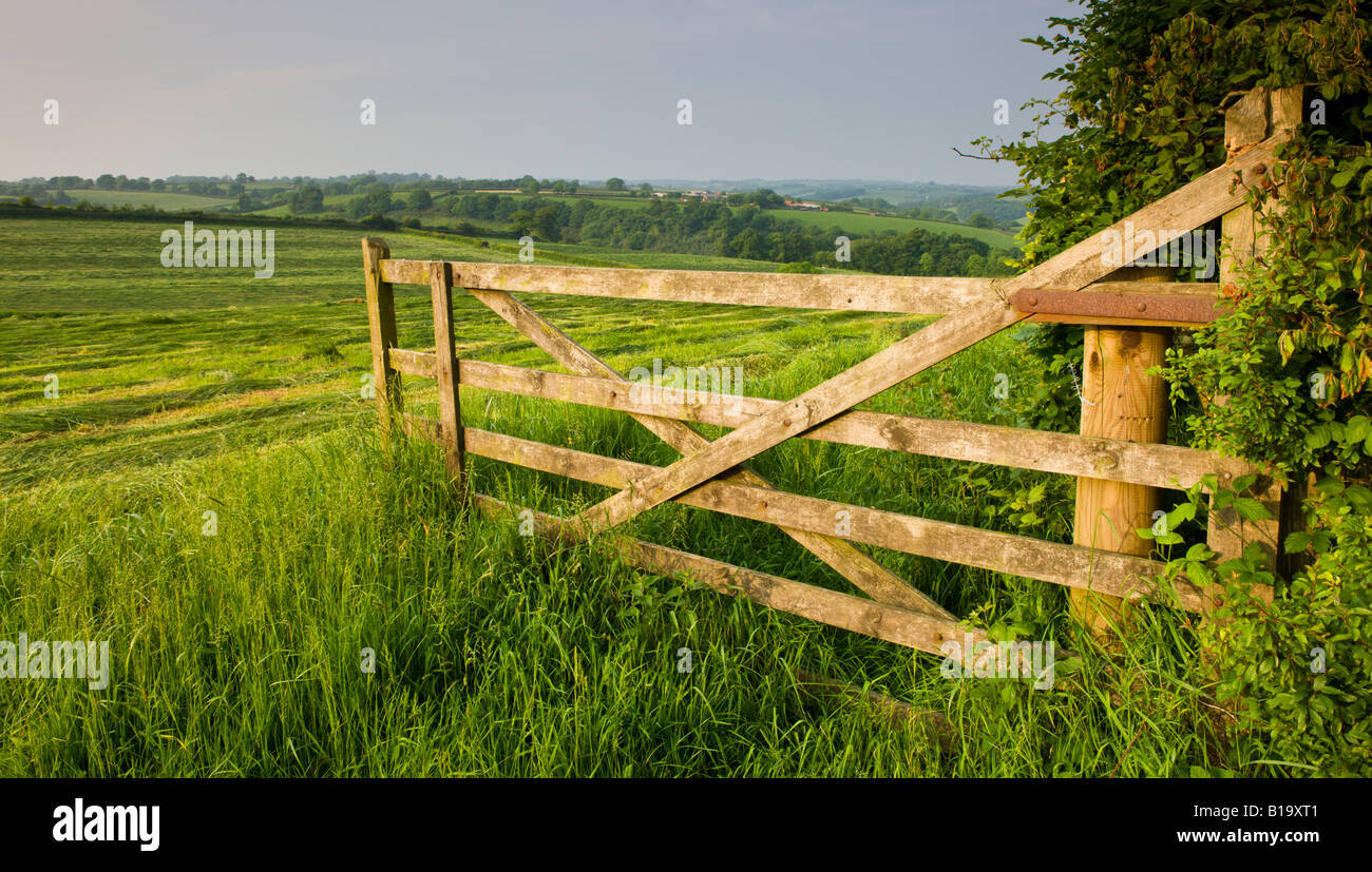 Summer in the farmland of Mid Devon England Stock Photo - Alamy