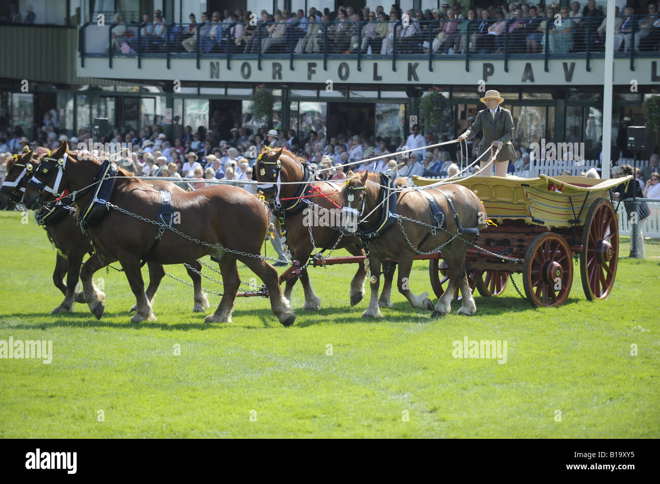Suffolk punch team hires stock photography and images Alamy