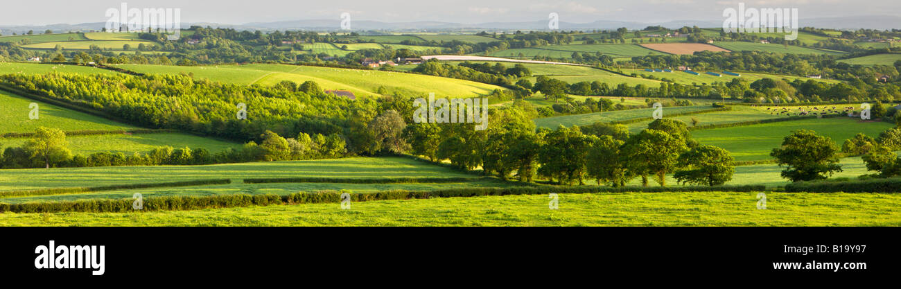 Overlooking the rolling farmland of mid Devon in early Summer Crediton Devon England Stock Photo