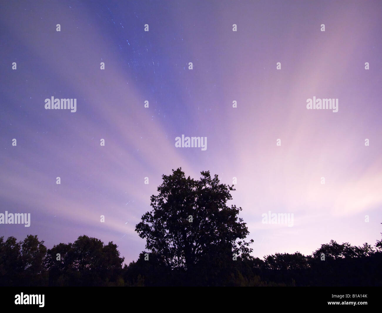 Lonely tree with clouds at night Stock Photo - Alamy