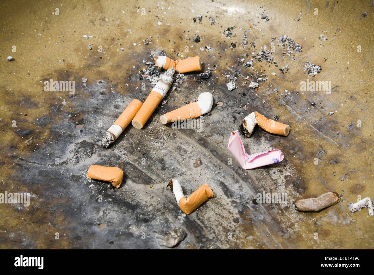 Cigarette stubs ends in rubbish bin ashtray. England, UK, Britain, Europe Stock Photo