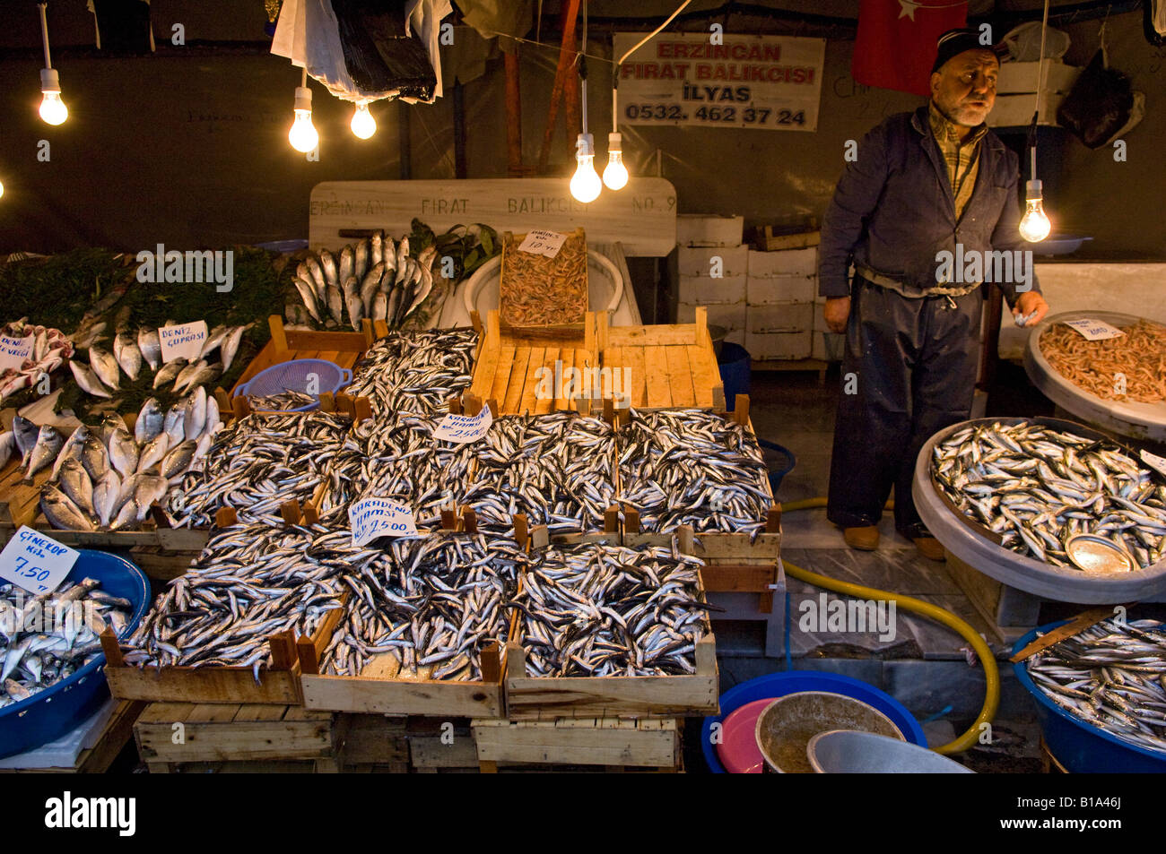 Night fish market next to the Galata Bridge on the Golden Horn