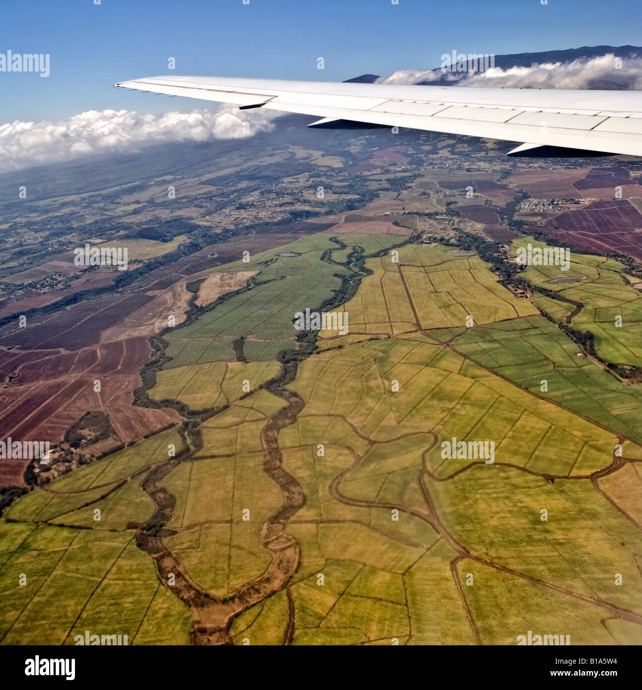 Aerial Photo of Maui sugarcane fields, take from airplane Stock Photo