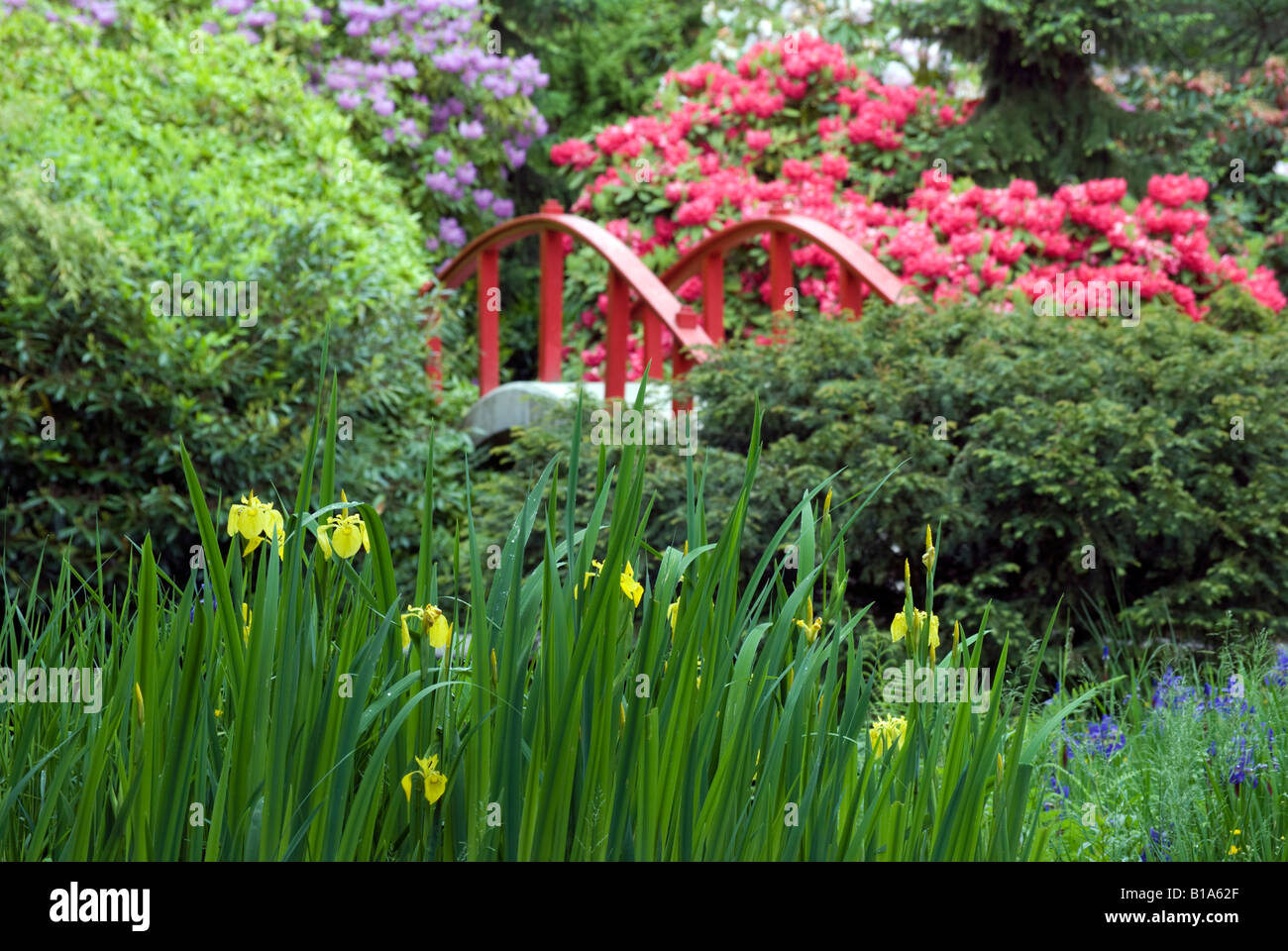 Seattle's Kubota Garden. Stock Photo