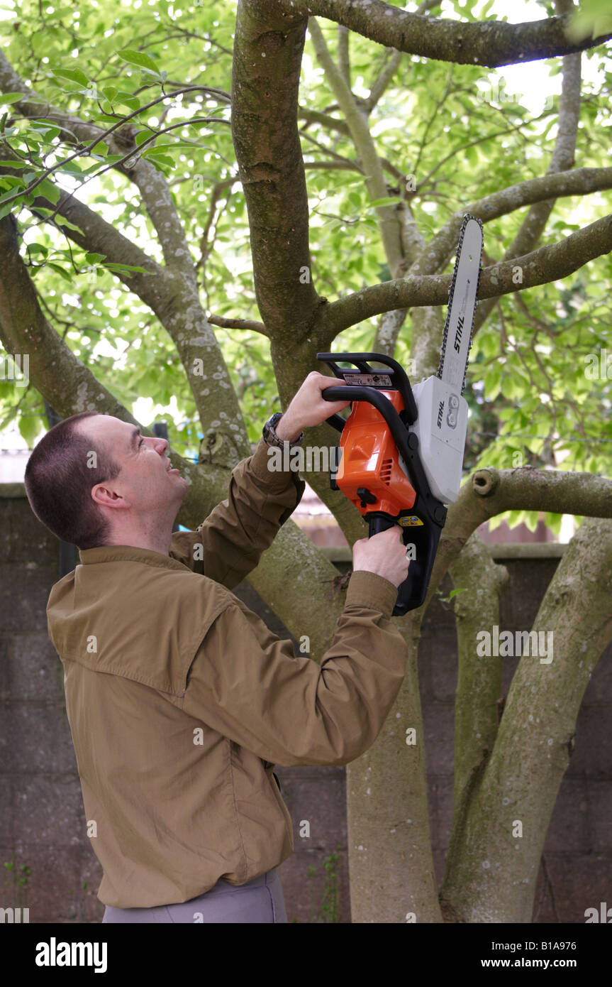 Man Holding Stihl Ms 180 Chainsaw In Tree With No Protection Stock Photo Alamy