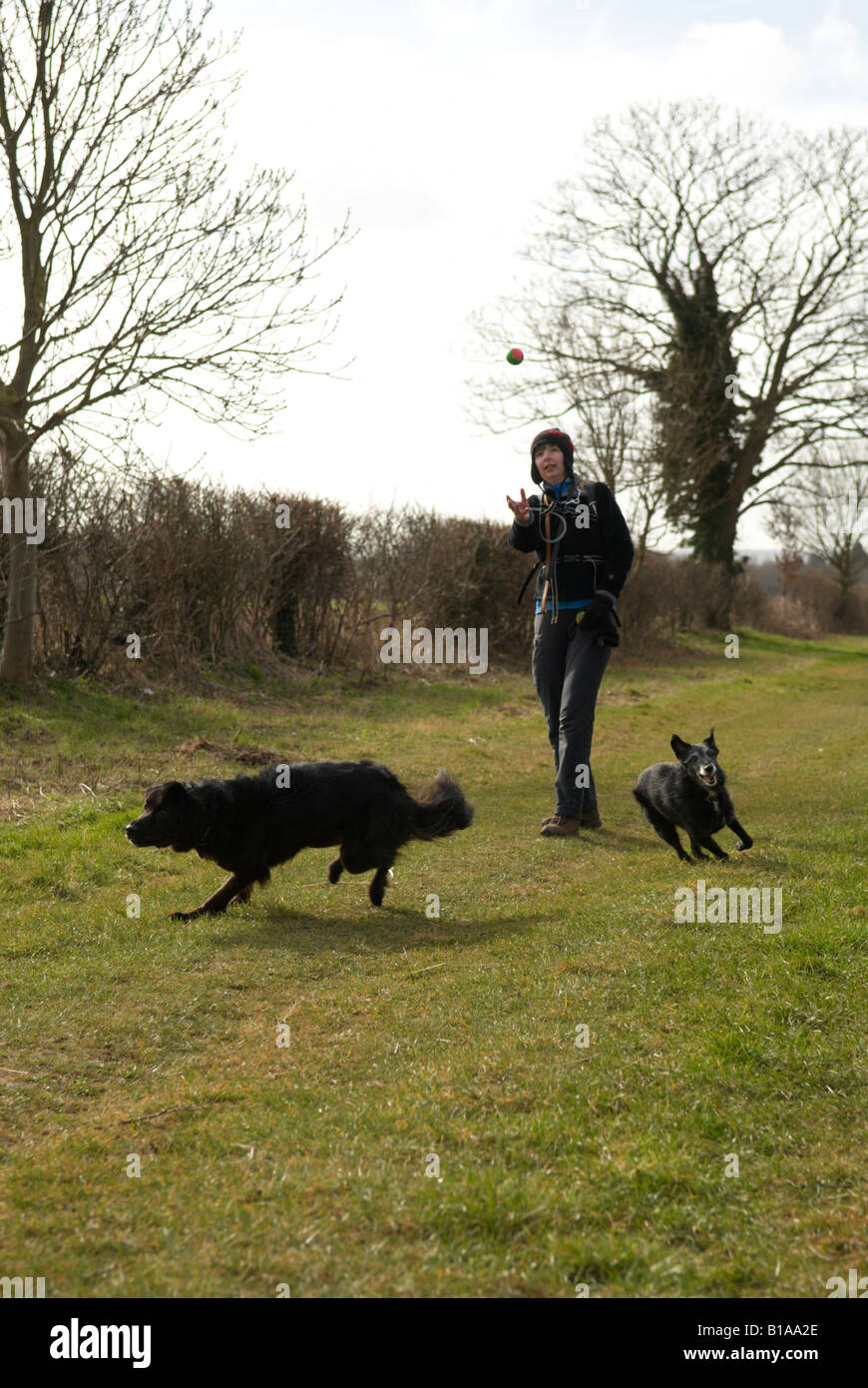 Old aged woman two dogs hi-res stock photography and images - Alamy
