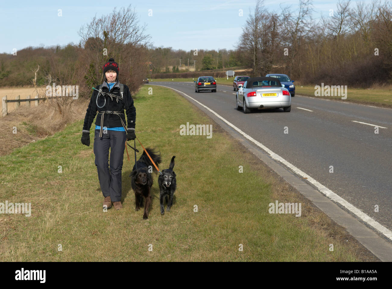 Gog magog cambridge hires stock photography and images Alamy