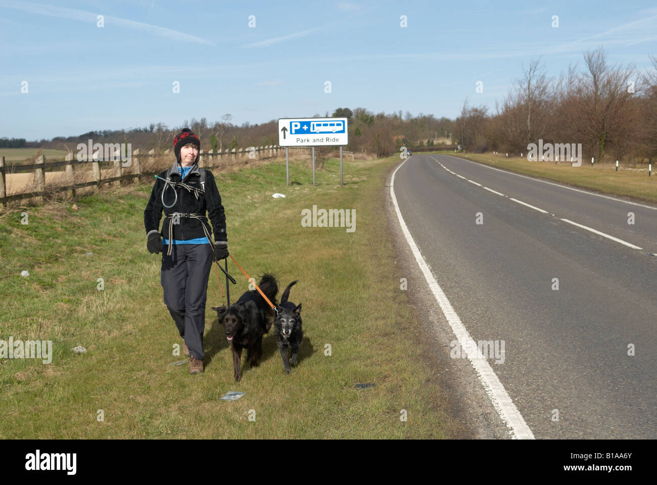 Gog magog cambridge hires stock photography and images Alamy