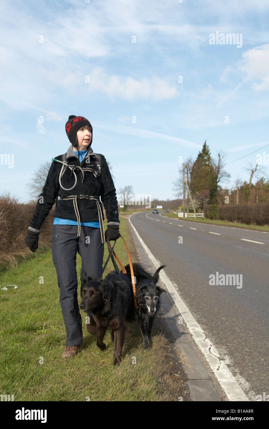 Gog magog cambridge hires stock photography and images Alamy