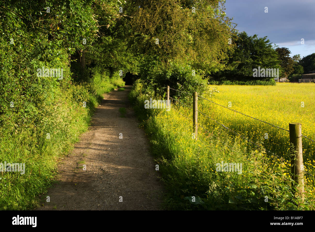 Footpath countryside hi-res stock photography and images - Alamy