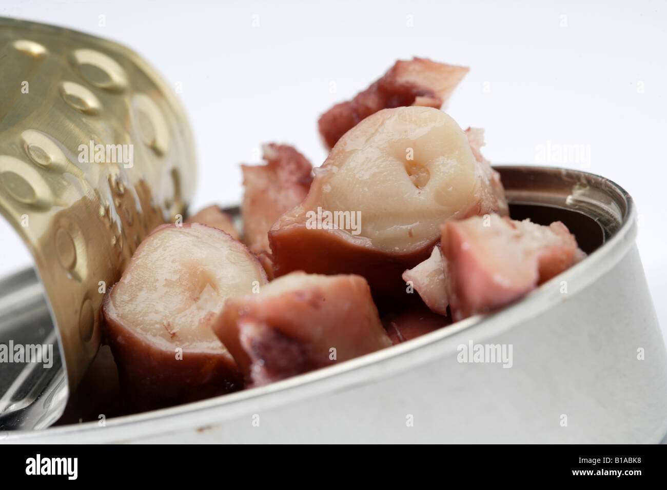 Closeup of canned octopus Stock Photo Alamy