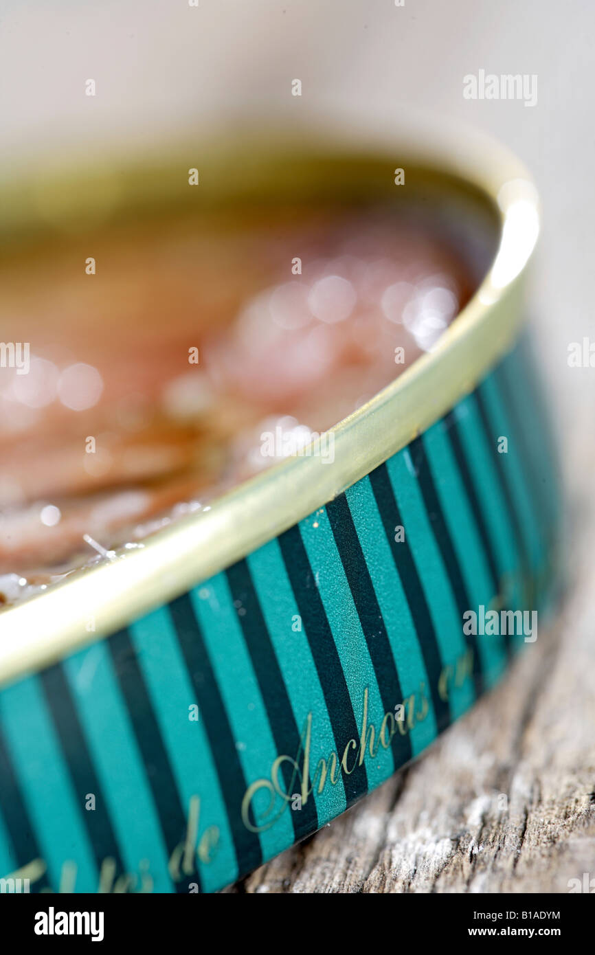 Closeup of can of anchovies in oil (vertical Stock Photo Alamy