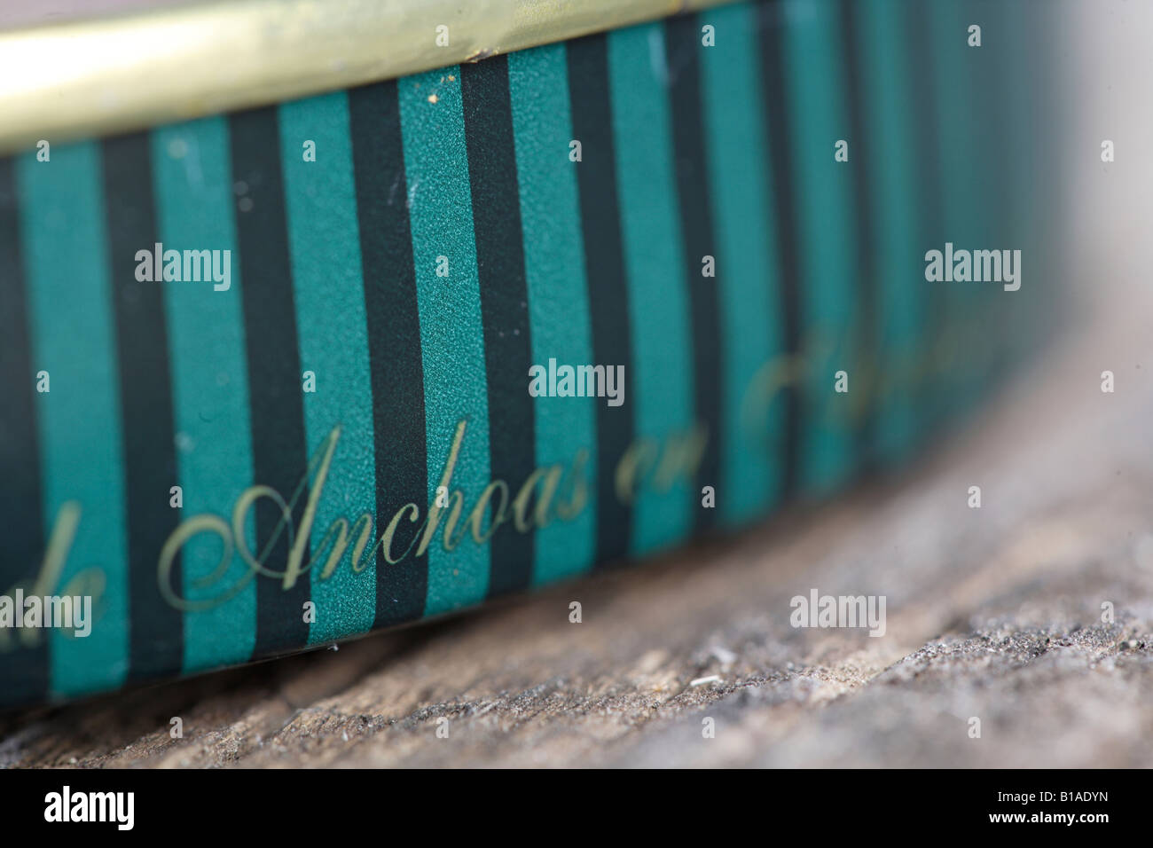 Closeup of can of anchovies in oil Stock Photo Alamy