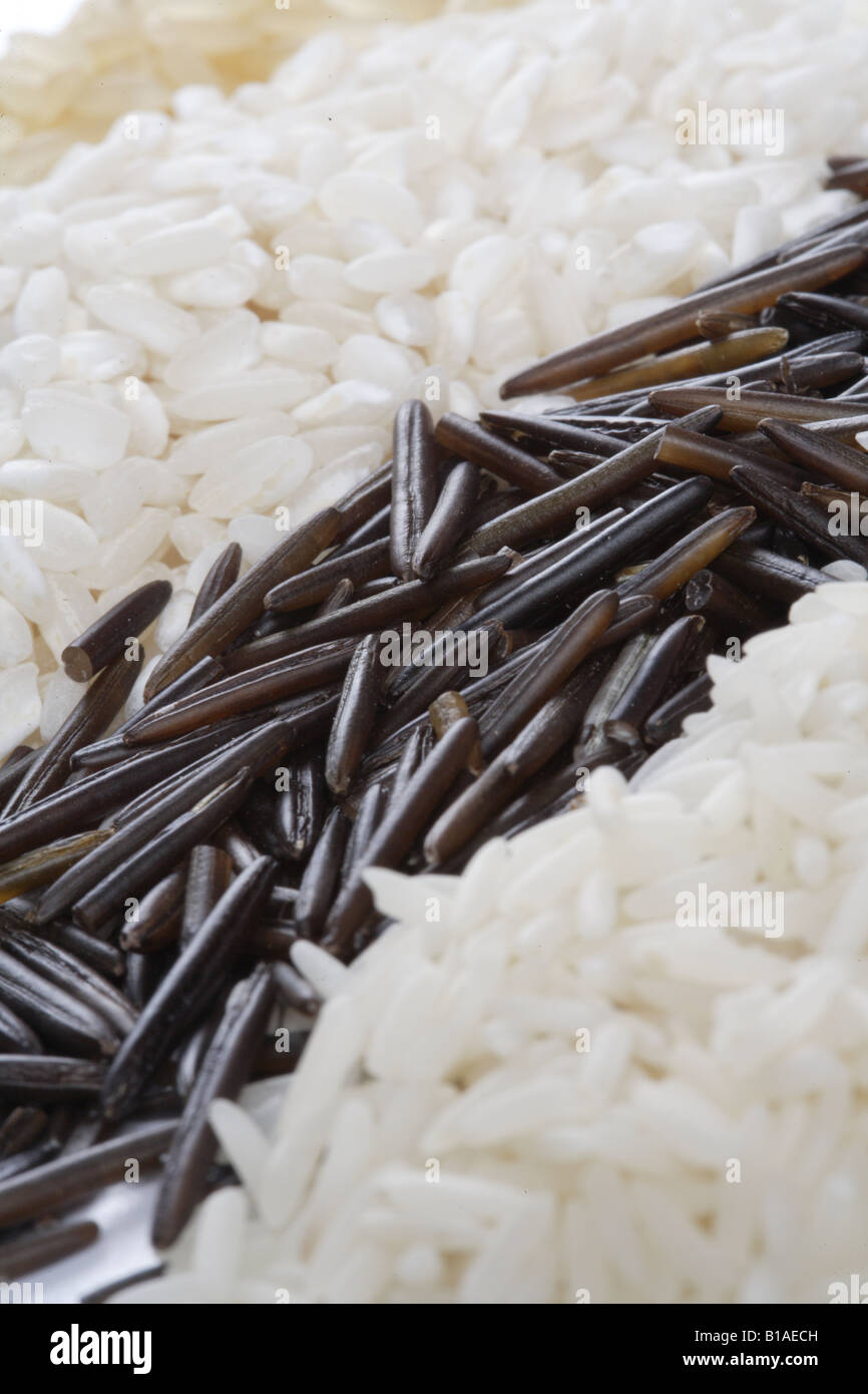 Rice varieties (vertical) Stock Photo