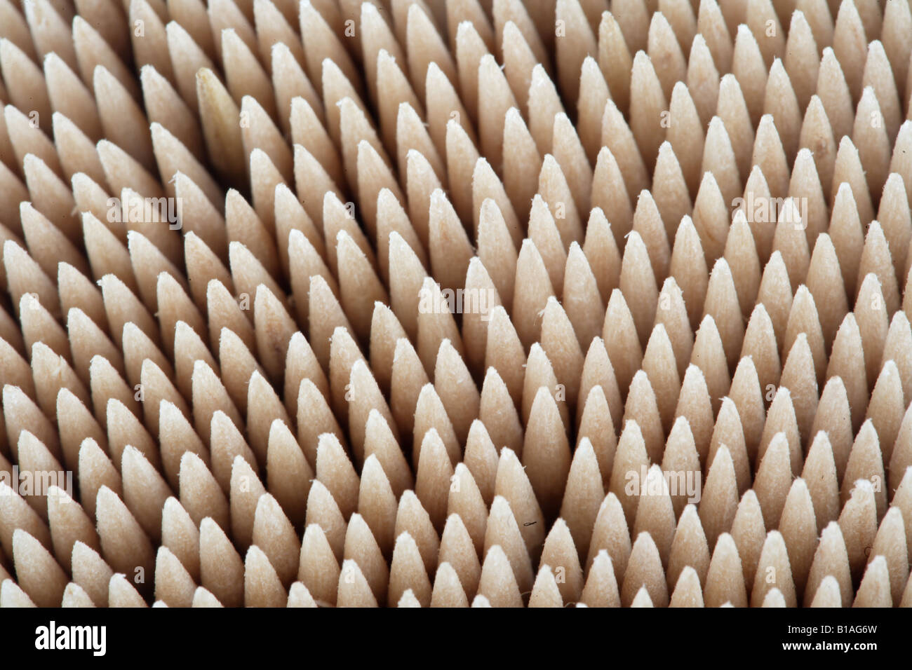Toothpicks close up Stock Photo - Alamy
