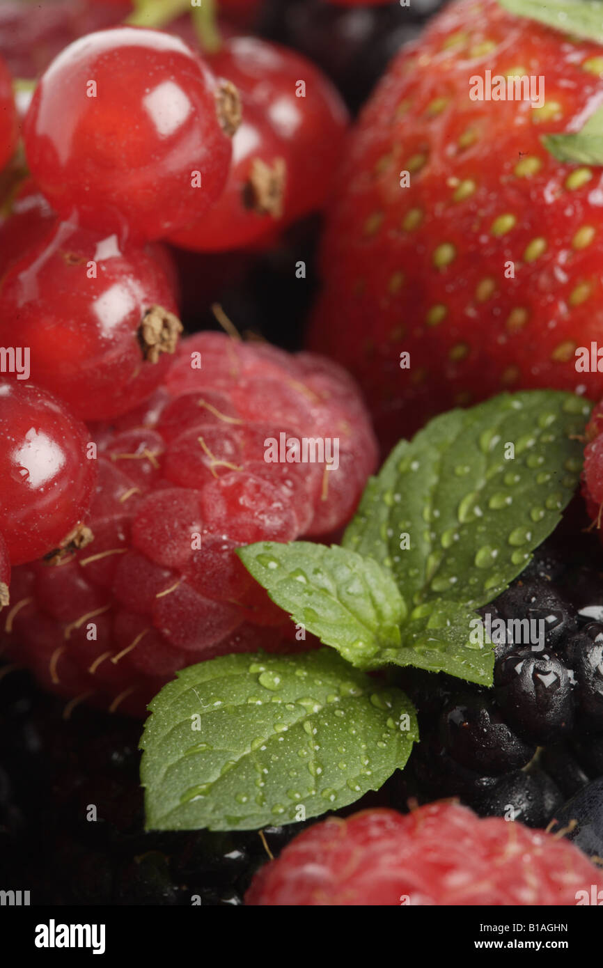 Still life of berries Stock Photo