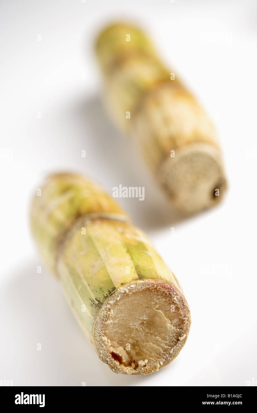 Sugar cane sticks Stock Photo Alamy