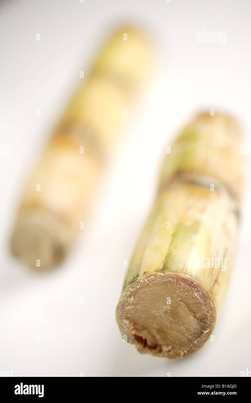 Sugar cane sticks Stock Photo Alamy