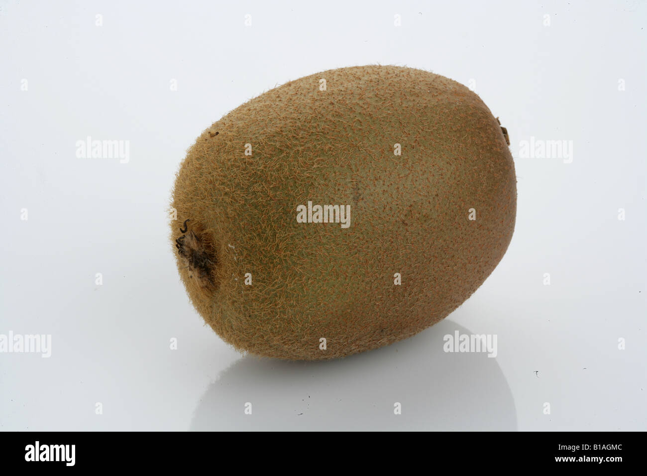 One kiwi hi-res stock photography and images - Alamy