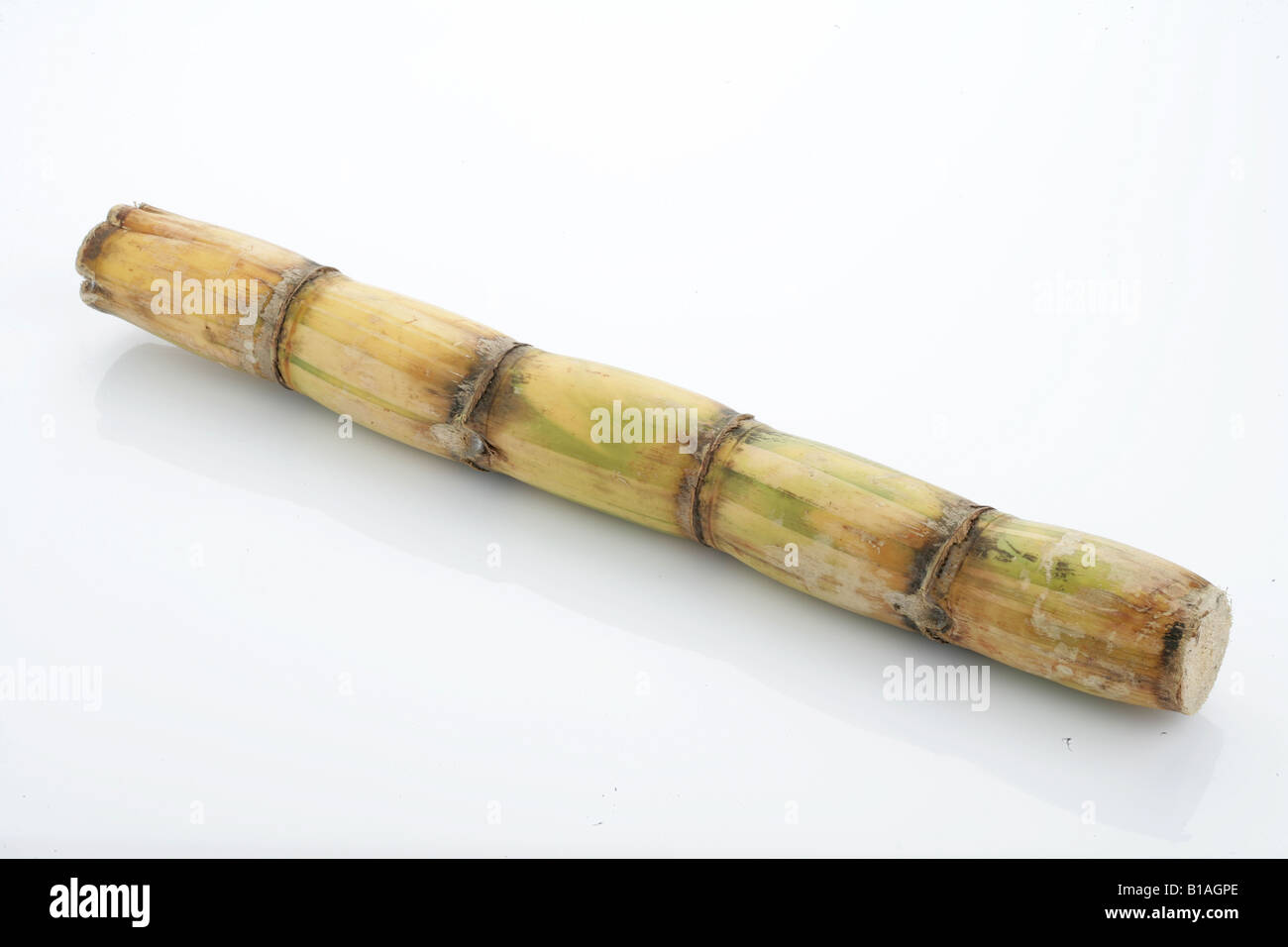 Sugar cane stick Stock Photo Alamy
