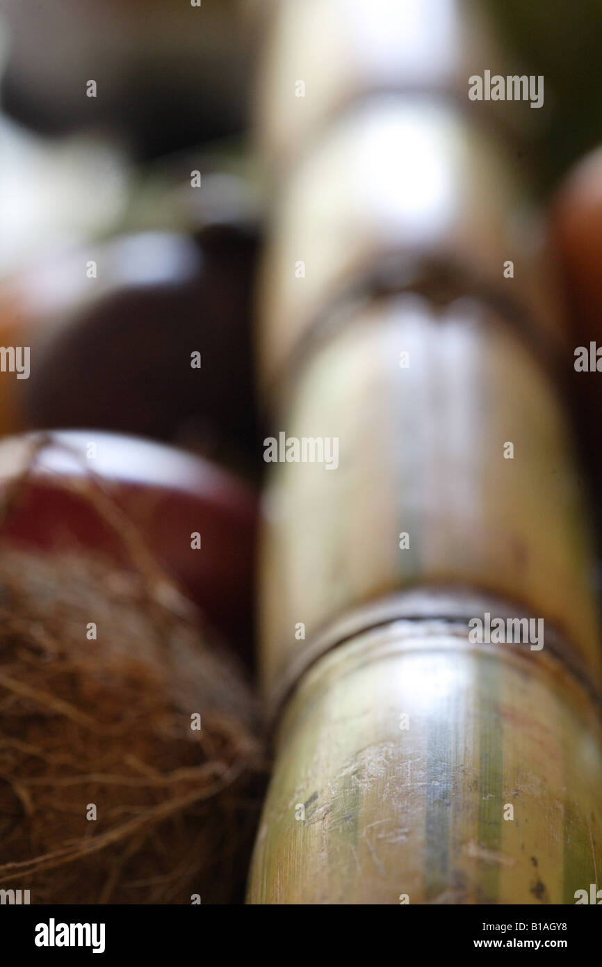 Sugar cane sticks Stock Photo Alamy