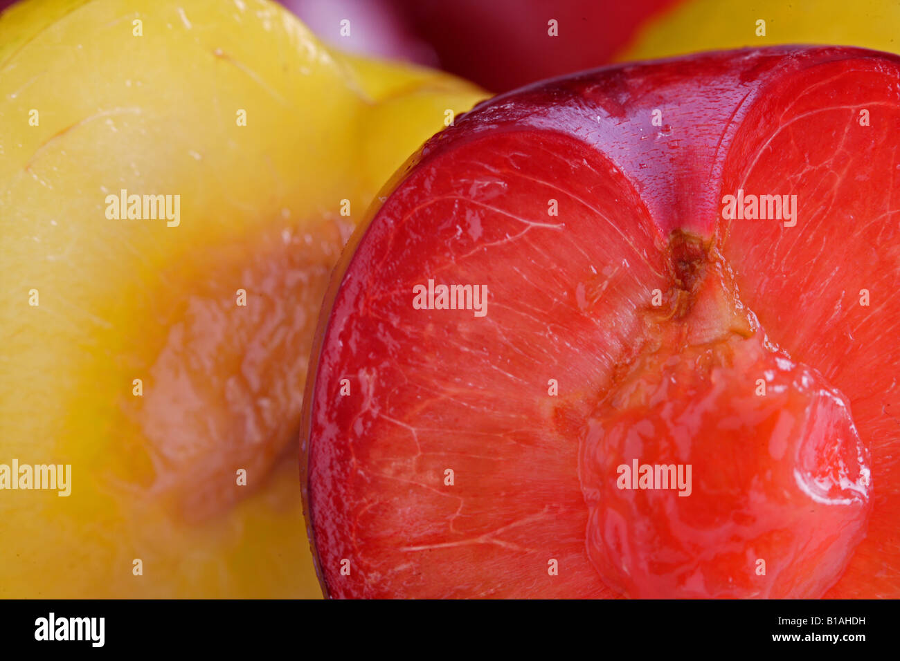 red plum cut close up Stock Photo Alamy