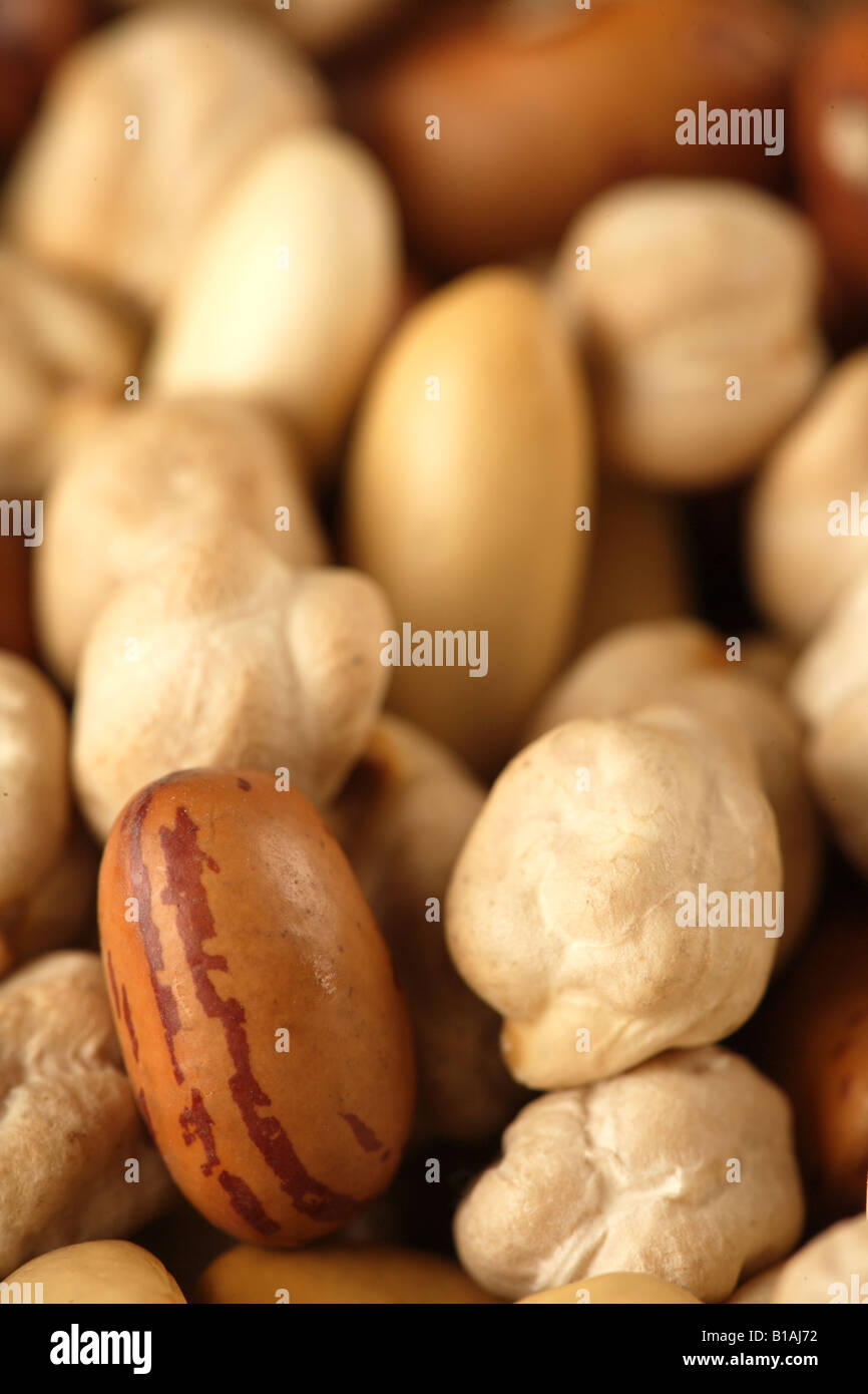 Assortment of nuts Stock Photo Alamy