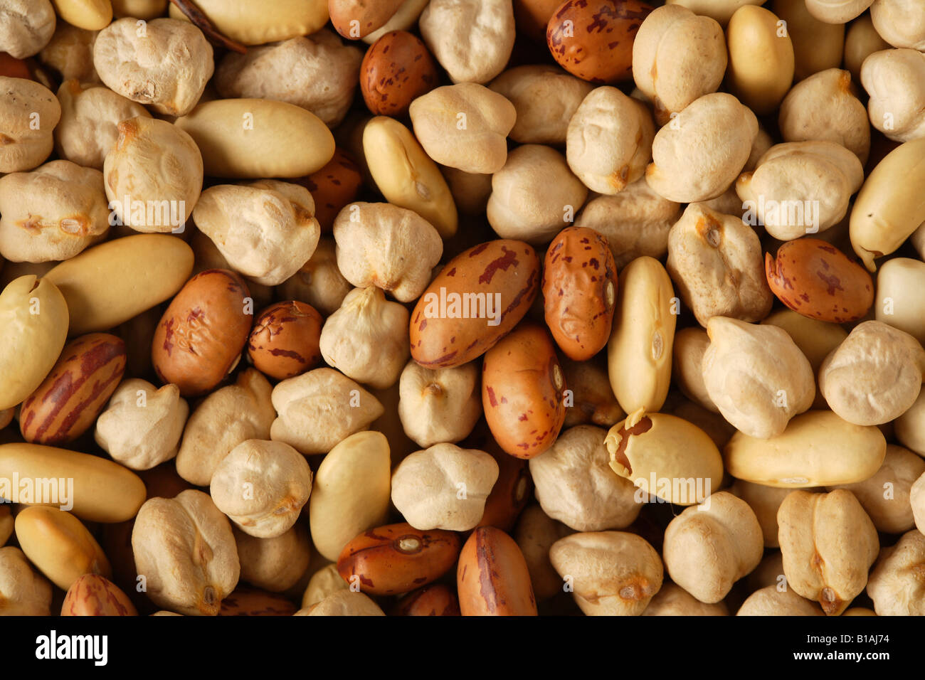 Assortment of nuts Stock Photo Alamy