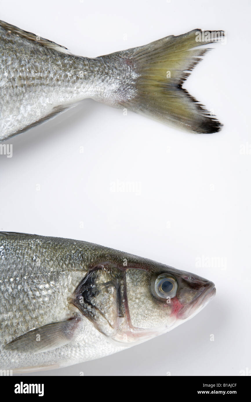 Heads and tails hires stock photography and images Alamy