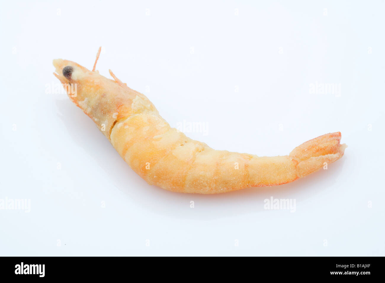 A fried shrimp Stock Photo - Alamy