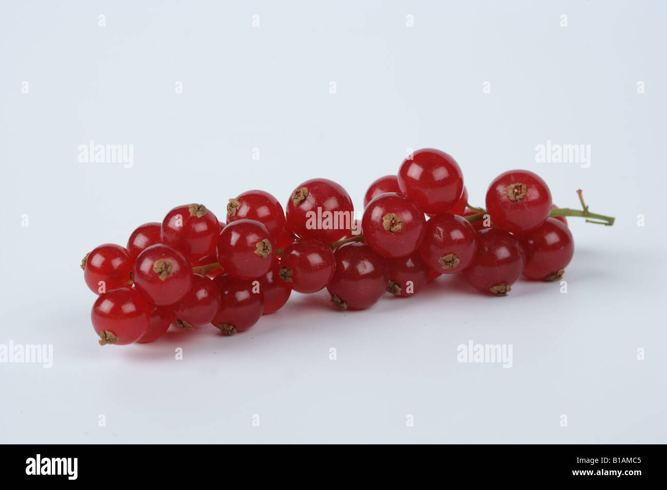 Redcurrants on white background Stock Photo